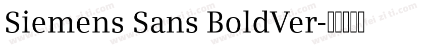 Siemens Sans BoldVer字体转换